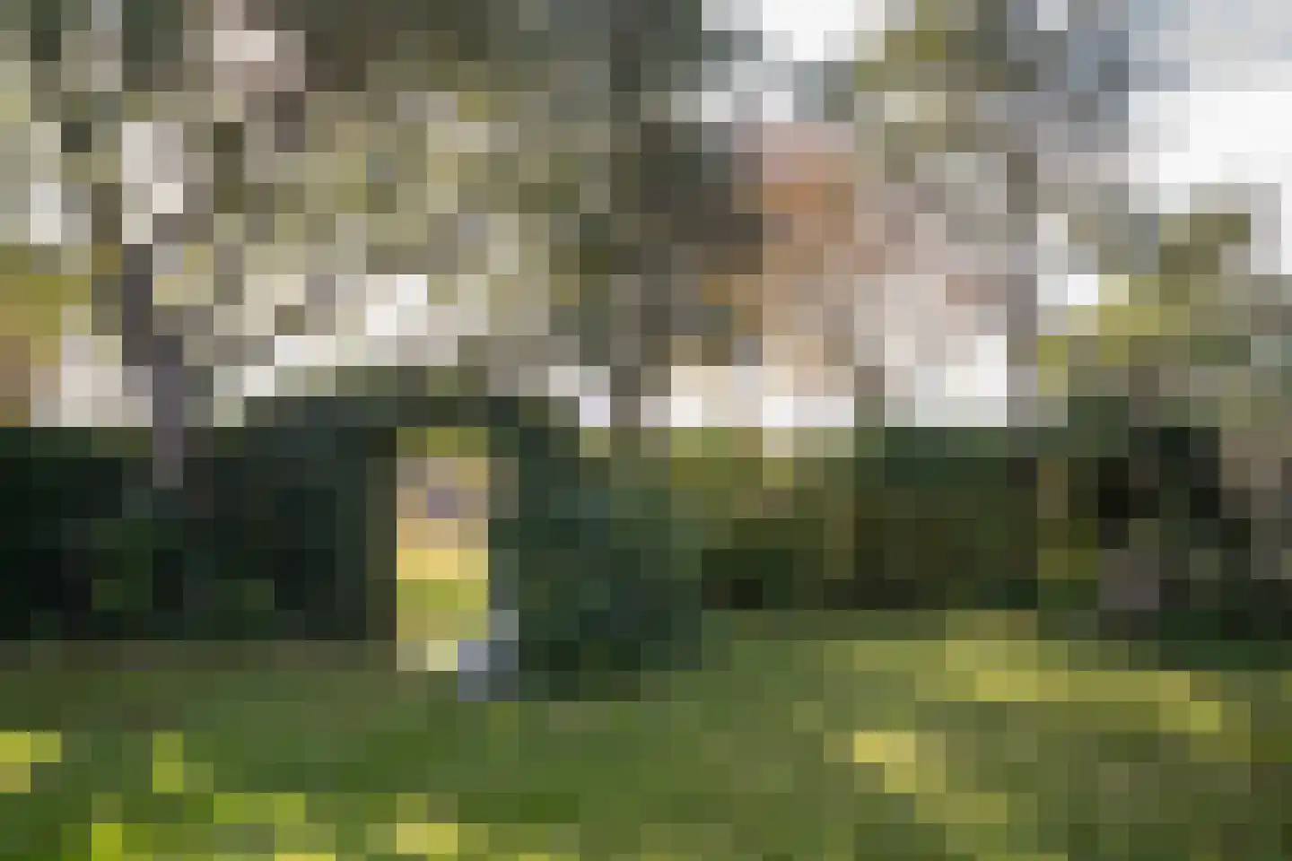 Pontweg 197 De Koog thumbnail 63