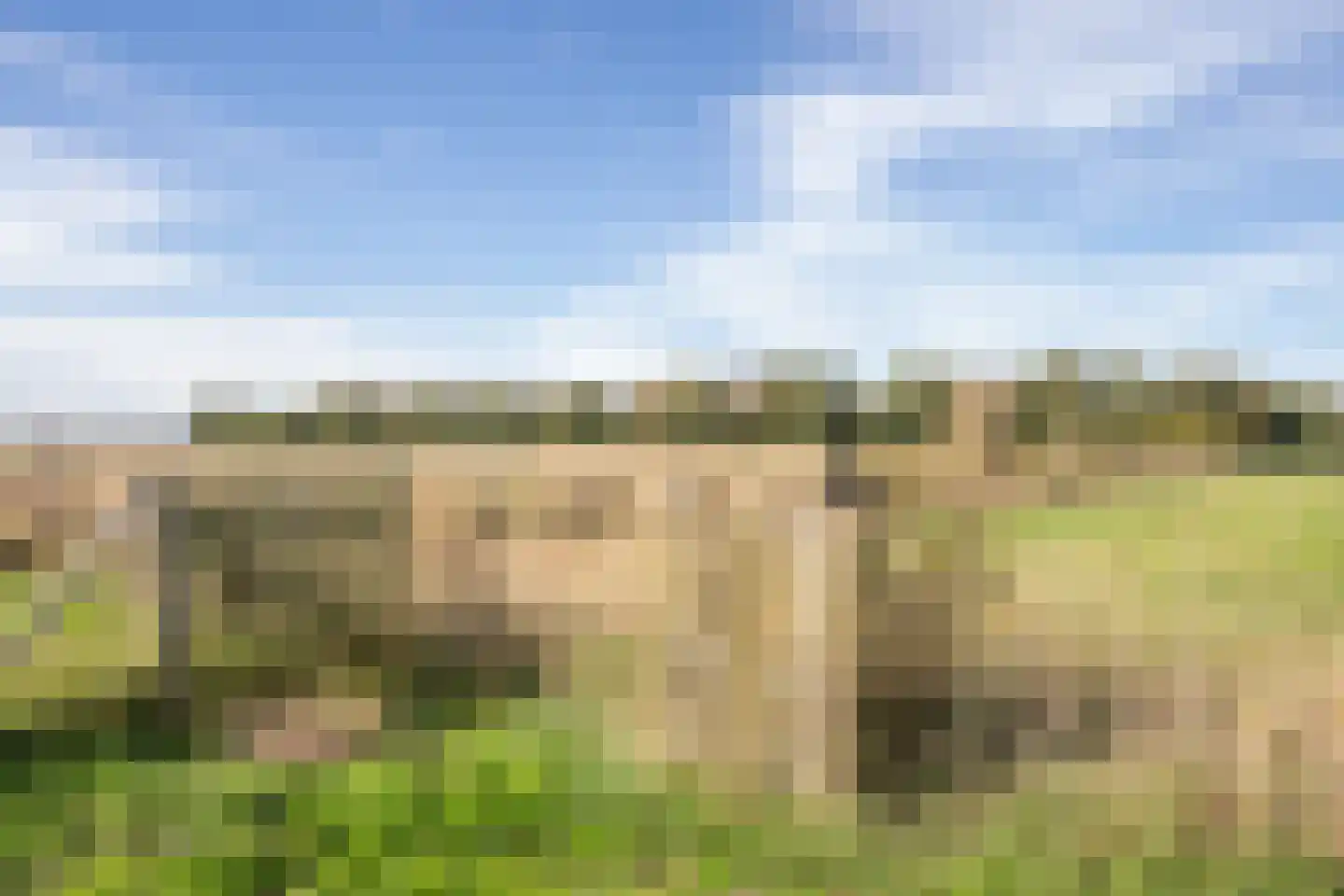 Pontweg 197 De Koog thumbnail 66
