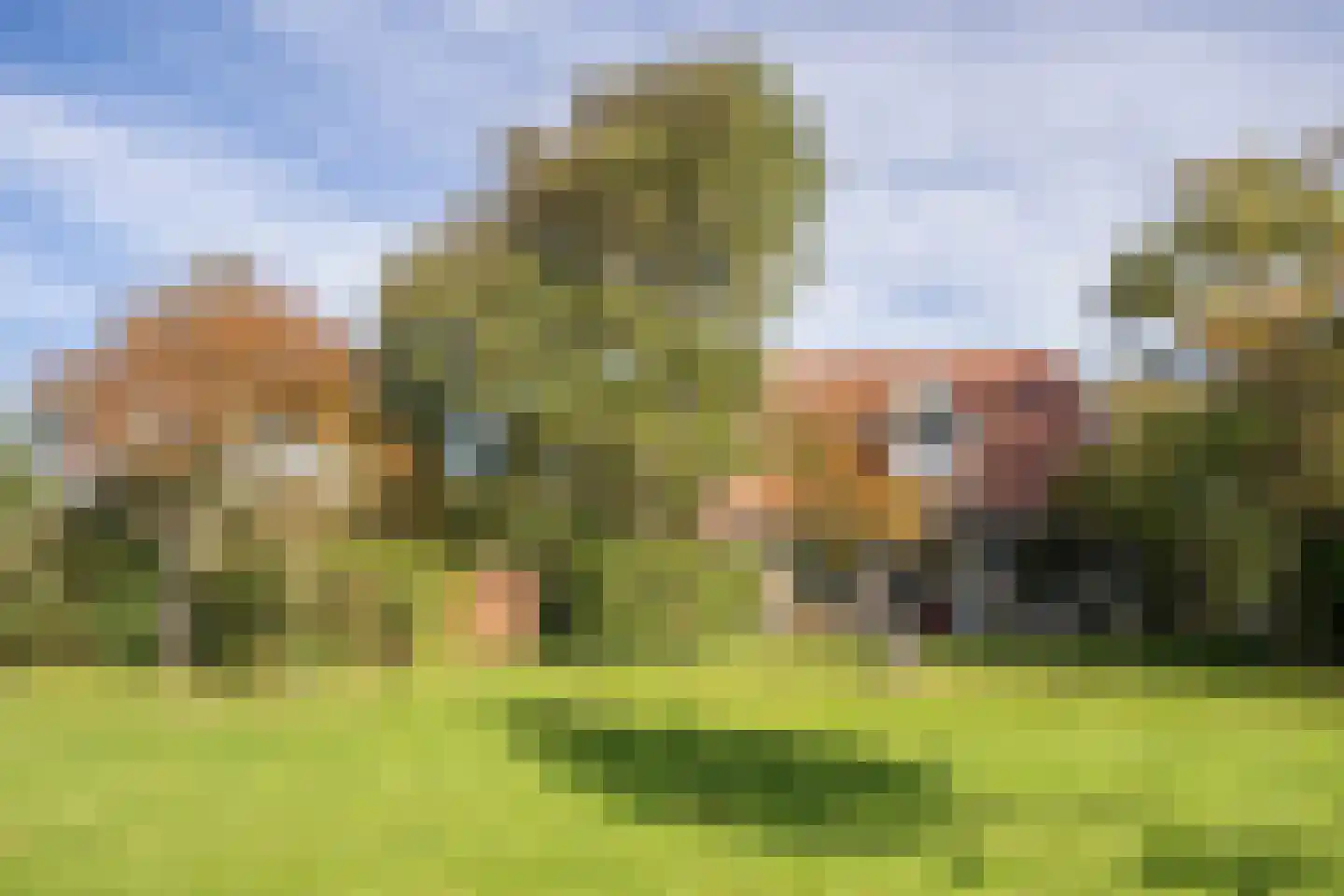 Pontweg 197 De Koog thumbnail 67