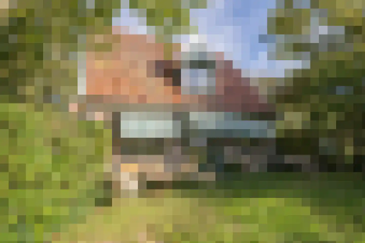 Pontweg 197 De Koog thumbnail 68