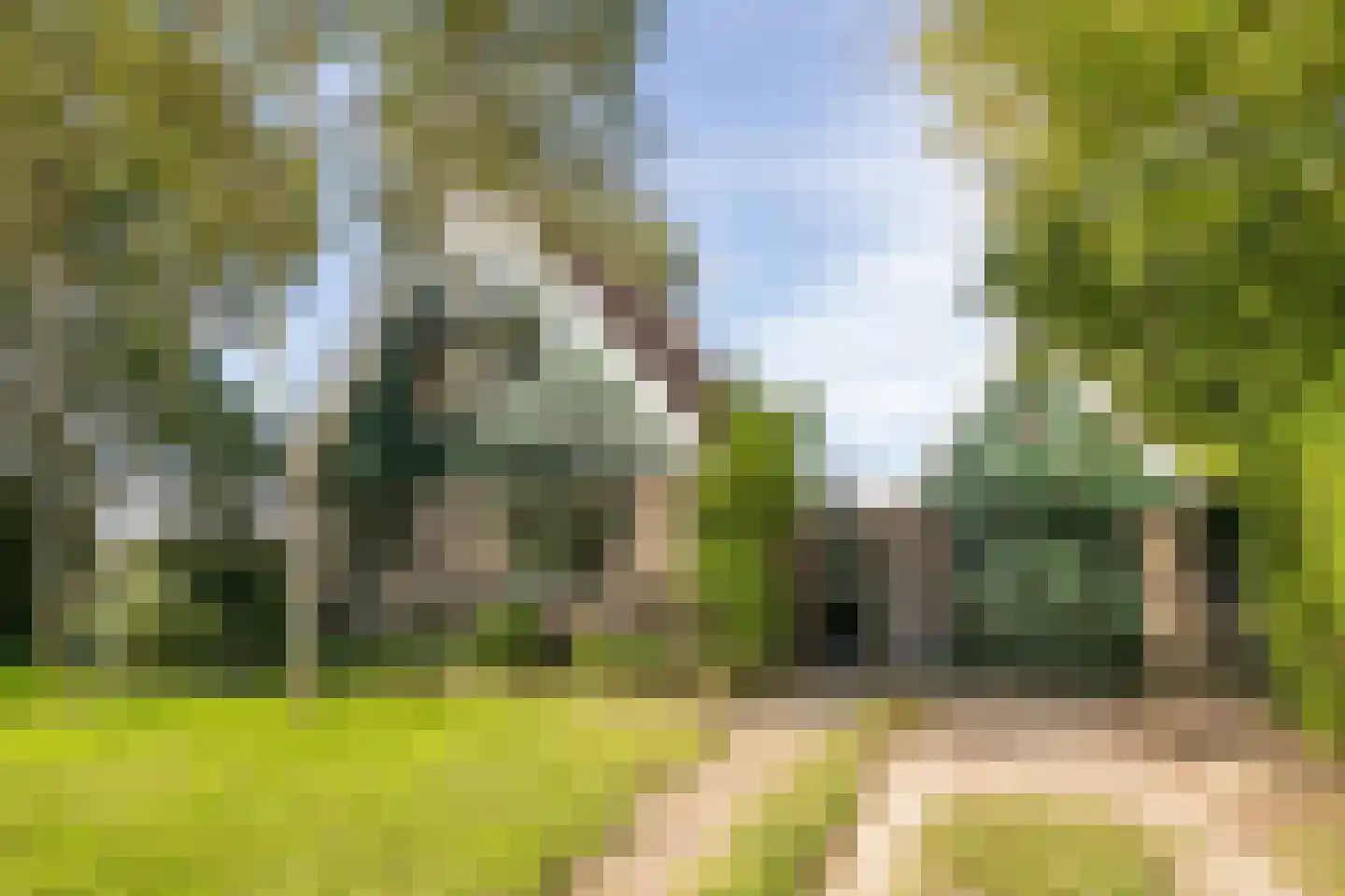 Pontweg 197 De Koog thumbnail 7