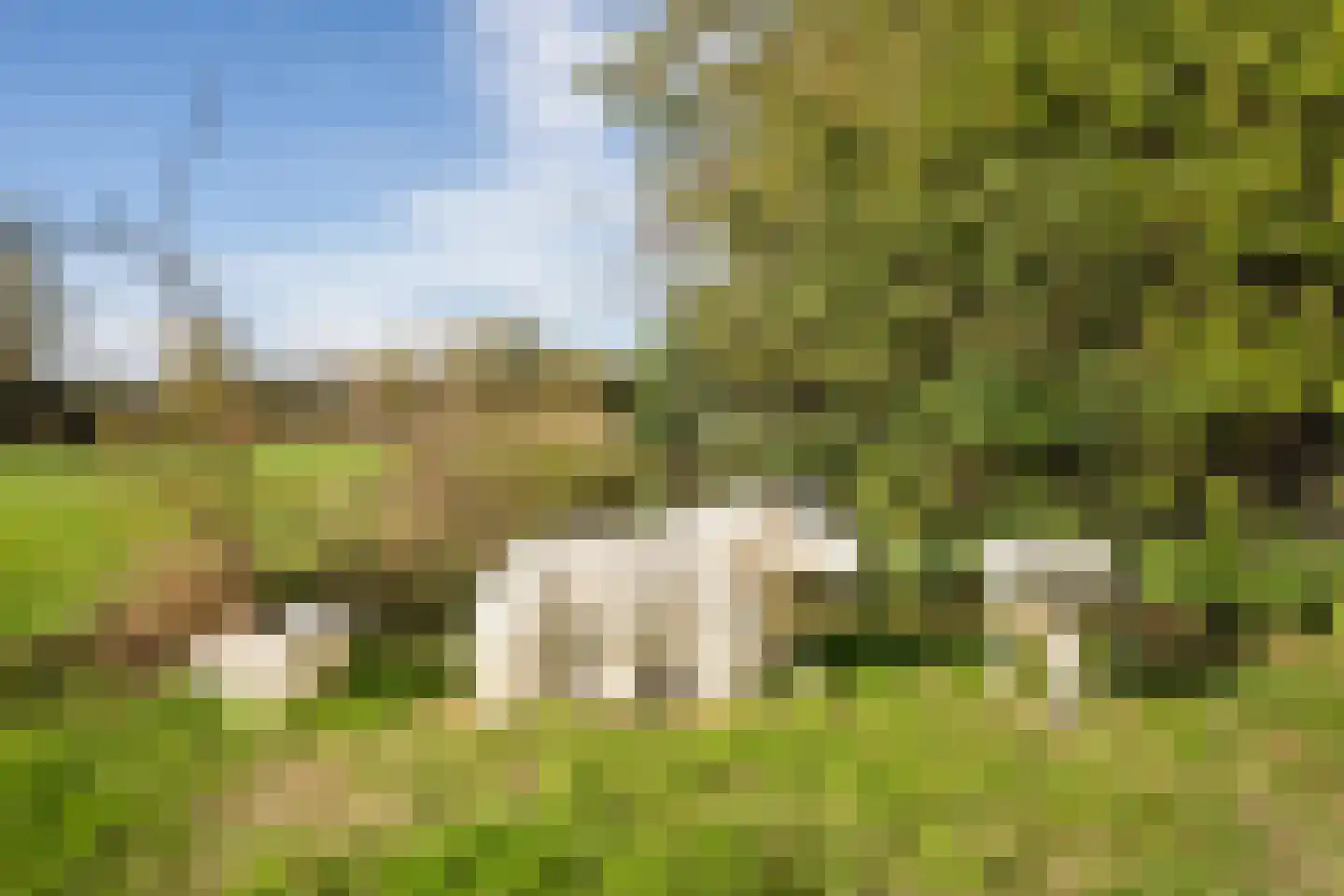 Pontweg 197 De Koog thumbnail 70