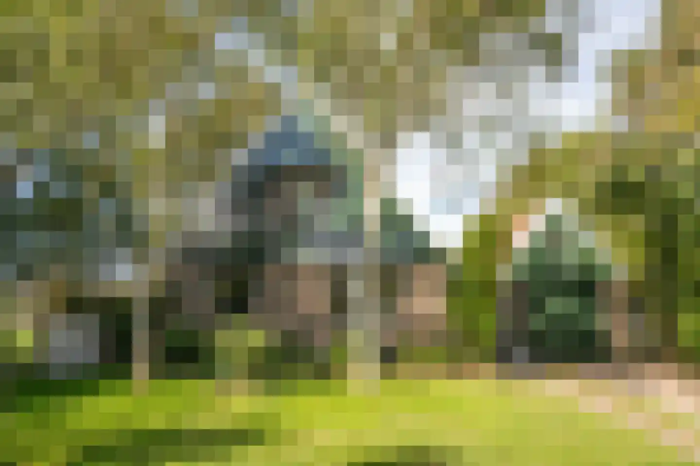 Pontweg 197 De Koog thumbnail 75