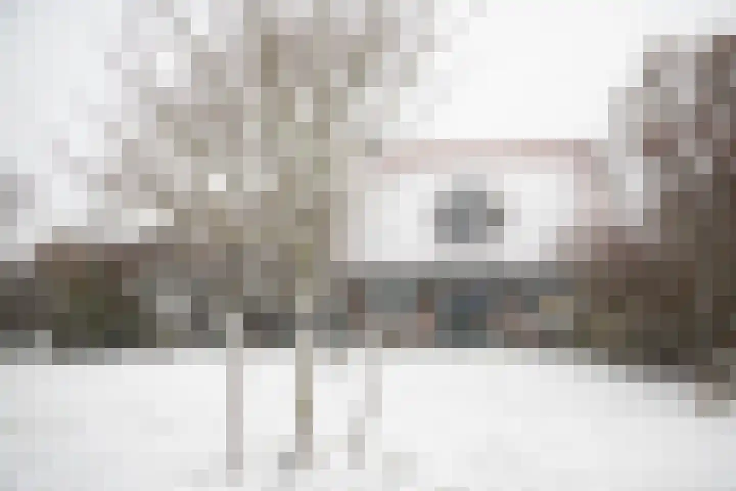 Pontweg 197 De Koog thumbnail 82