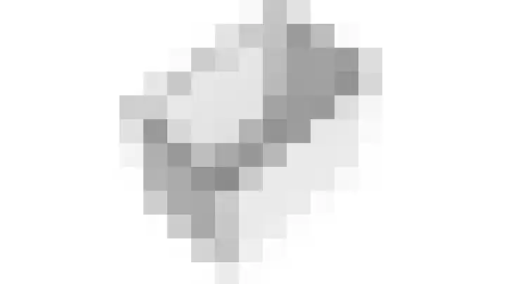 Ponyhof 2 Delft thumbnail 28