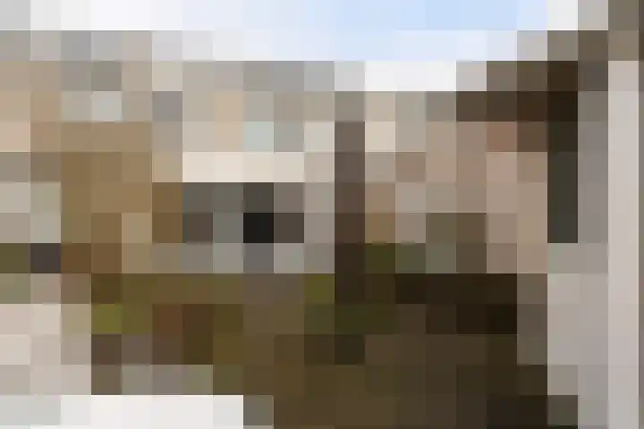 Ponyweide 40 Zoetermeer thumbnail 21
