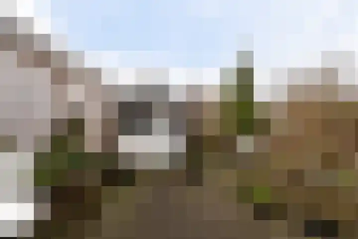 Ponyweide 40 Zoetermeer thumbnail 22