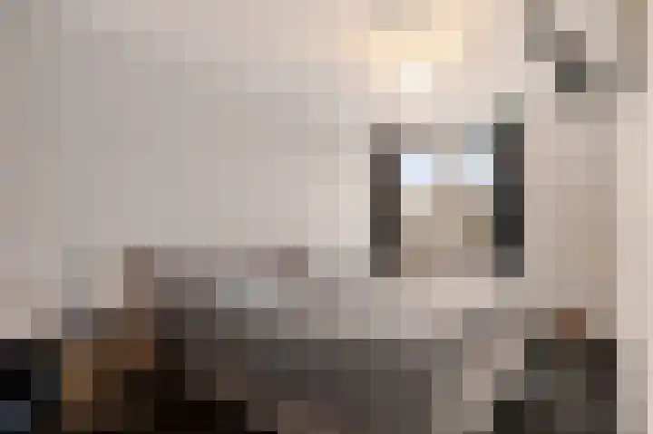 Ponyweide 40 Zoetermeer thumbnail 30