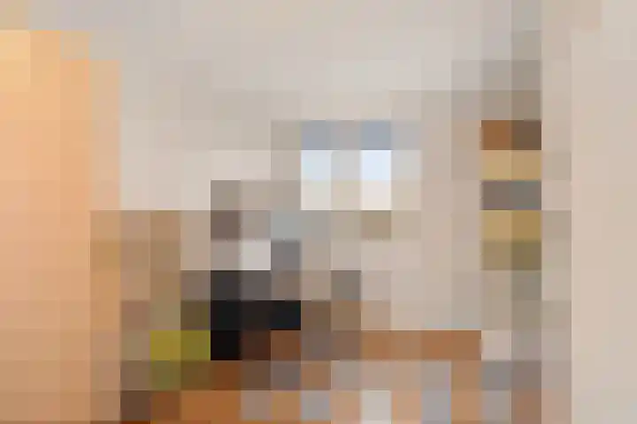 Ponyweide 40 Zoetermeer thumbnail 40