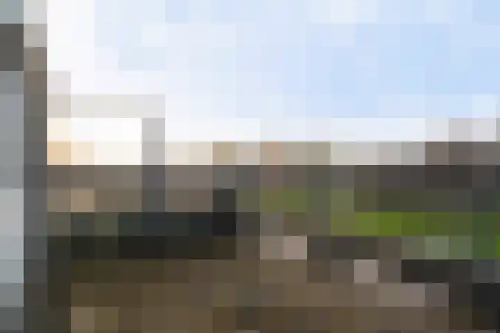 Ponyweide 40 Zoetermeer thumbnail 41