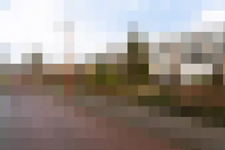 Ponyweide 40 Zoetermeer thumbnail 43