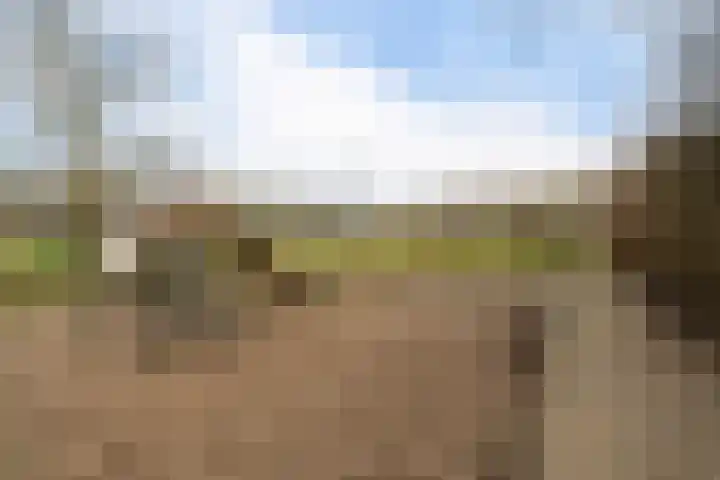 Ponyweide 40 Zoetermeer thumbnail 48