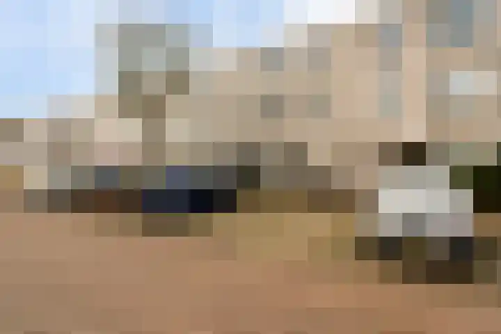 Ponyweide 40 Zoetermeer thumbnail 7