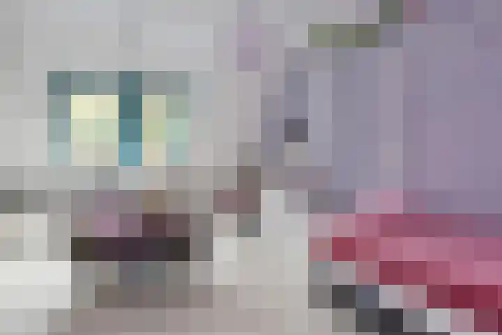Ponyweide 49 Zoetermeer thumbnail 31