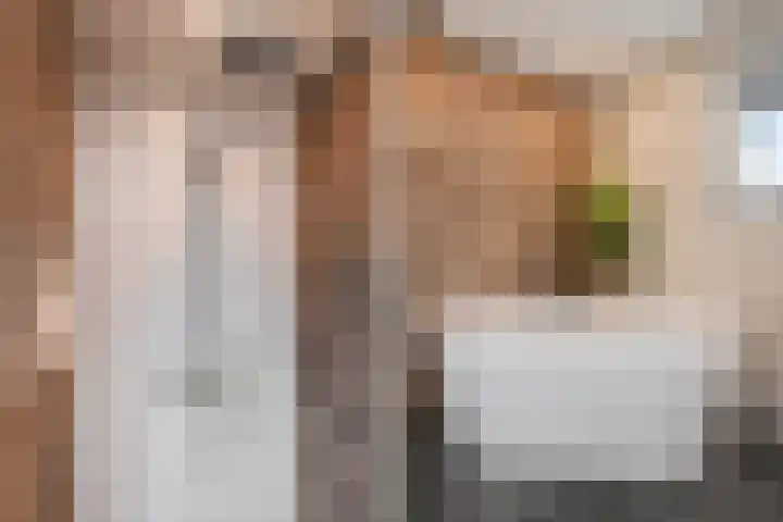 Ponyweide 49 Zoetermeer thumbnail 36
