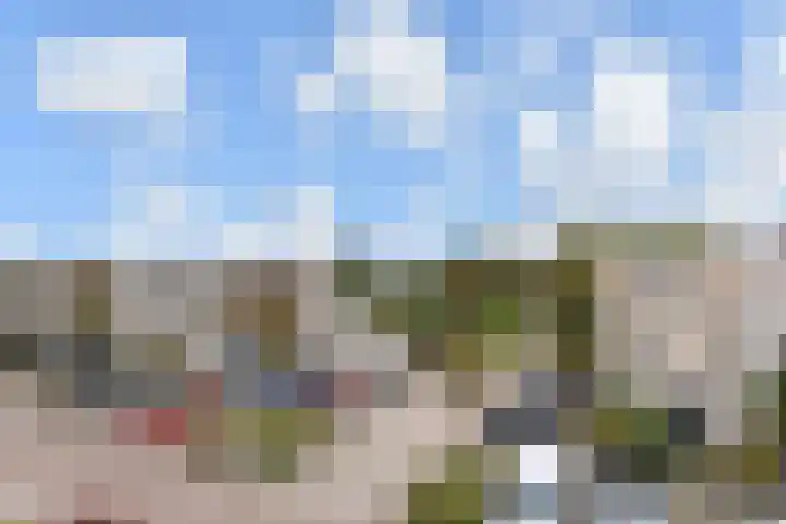 Ponyweide 49 Zoetermeer thumbnail 41