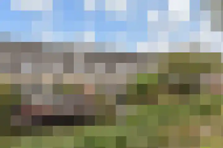Ponyweide 49 Zoetermeer thumbnail 49