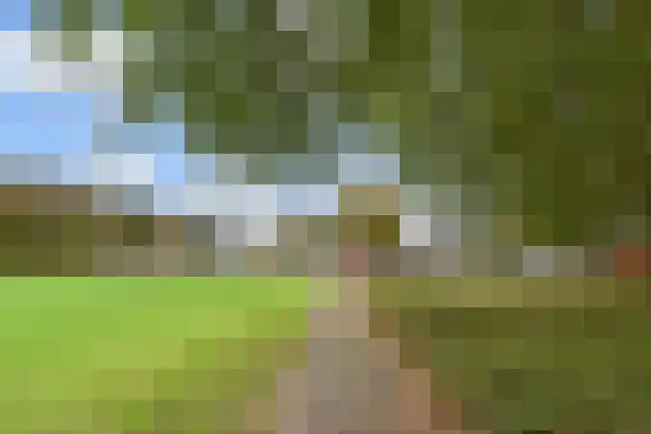 Ponyweide 49 Zoetermeer thumbnail 51