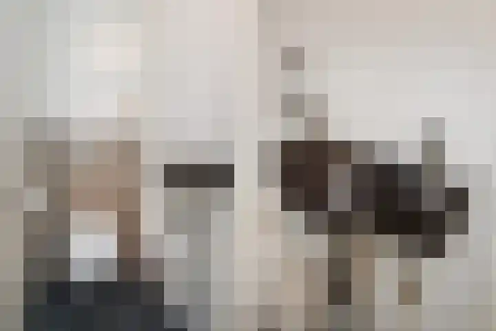 Ponyweide 49 Zoetermeer thumbnail 6