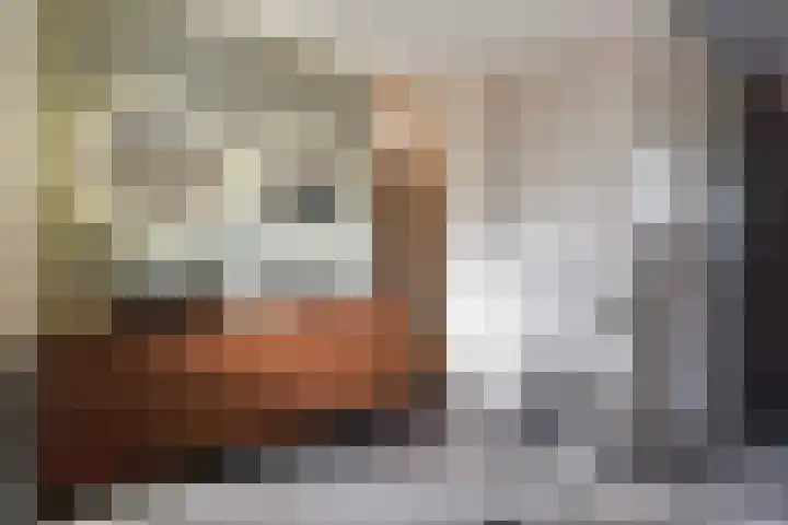 Ponyweide 57 Zoetermeer thumbnail 35