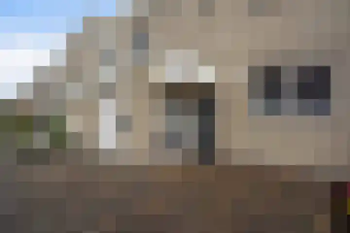 Ponyweide 57 Zoetermeer thumbnail 5