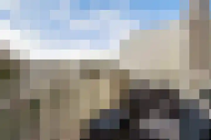 Ponyweide 57 Zoetermeer thumbnail 56