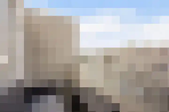 Ponyweide 57 Zoetermeer thumbnail 59