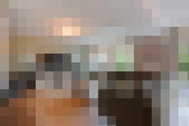 Ponyweide 57 Zoetermeer thumbnail 6