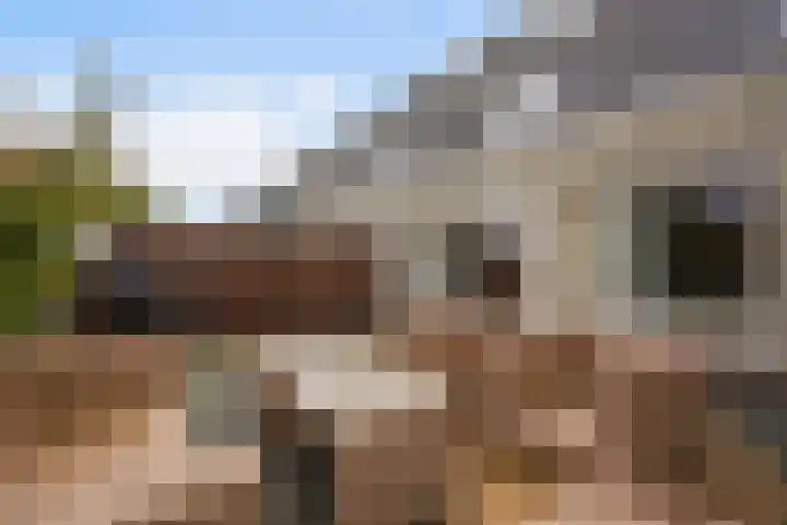 Ponyweide 57 Zoetermeer thumbnail 60