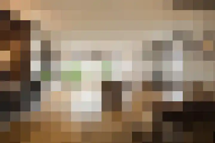 Ponyweide 98 Zoetermeer thumbnail 13