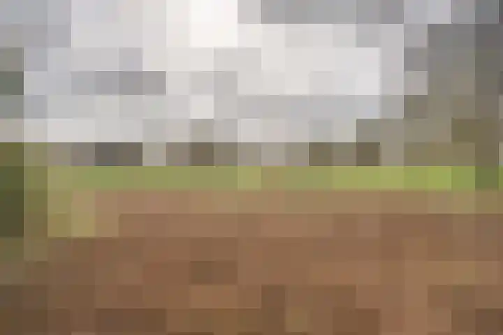 Ponyweide 98 Zoetermeer thumbnail 24