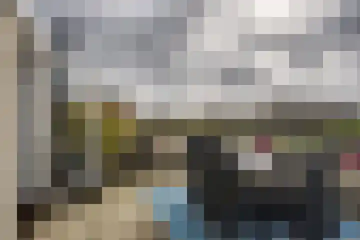 Ponyweide 98 Zoetermeer thumbnail 42