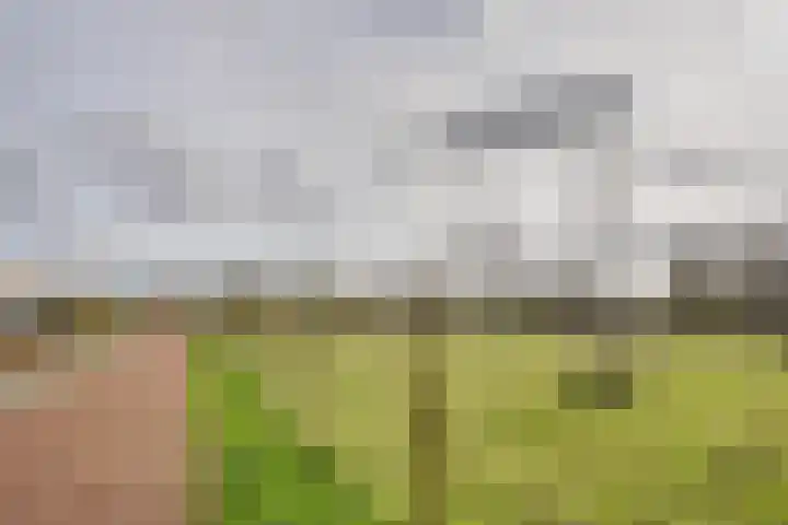 Ponyweide 98 Zoetermeer thumbnail 49