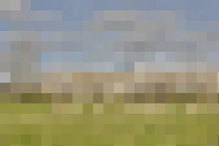 Ponyweide 98 Zoetermeer thumbnail 51