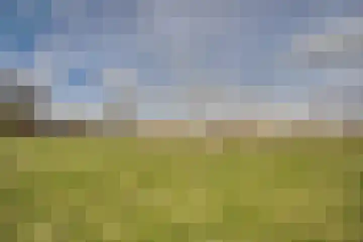 Ponyweide 98 Zoetermeer thumbnail 53