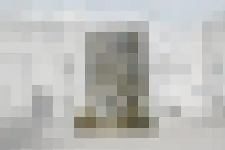 Ponyweide 98 Zoetermeer thumbnail 6
