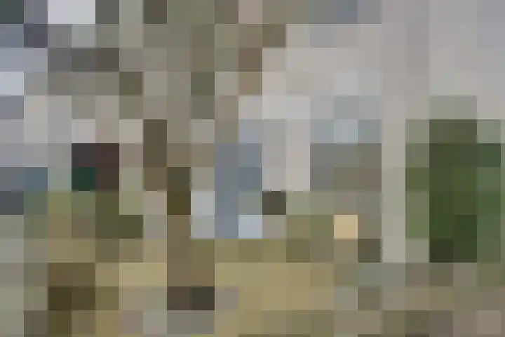 Ponyweide 98 Zoetermeer thumbnail 7