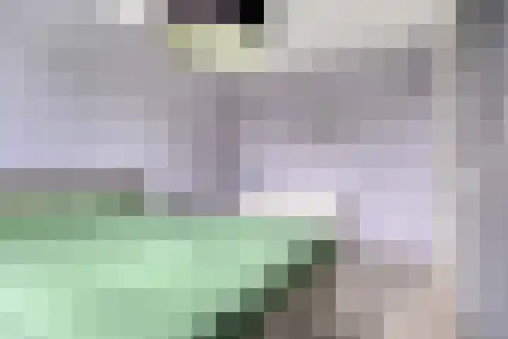 Poolsestraat 7 Alphen thumbnail 15