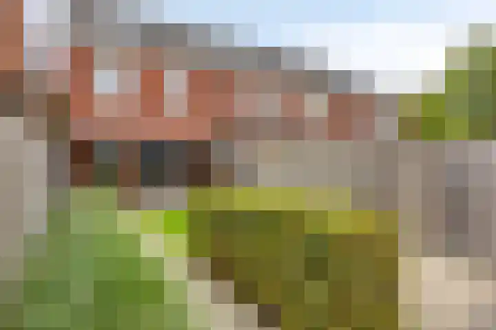 Poolsestraat 7 Alphen thumbnail 27