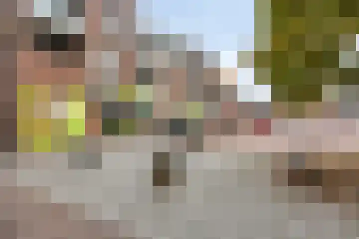 Poolsestraat 7 Alphen thumbnail 32