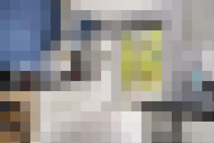 Poolsestraat 7 Alphen thumbnail 9