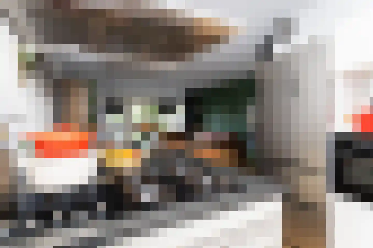 Poolster 129 Hoorn thumbnail 19