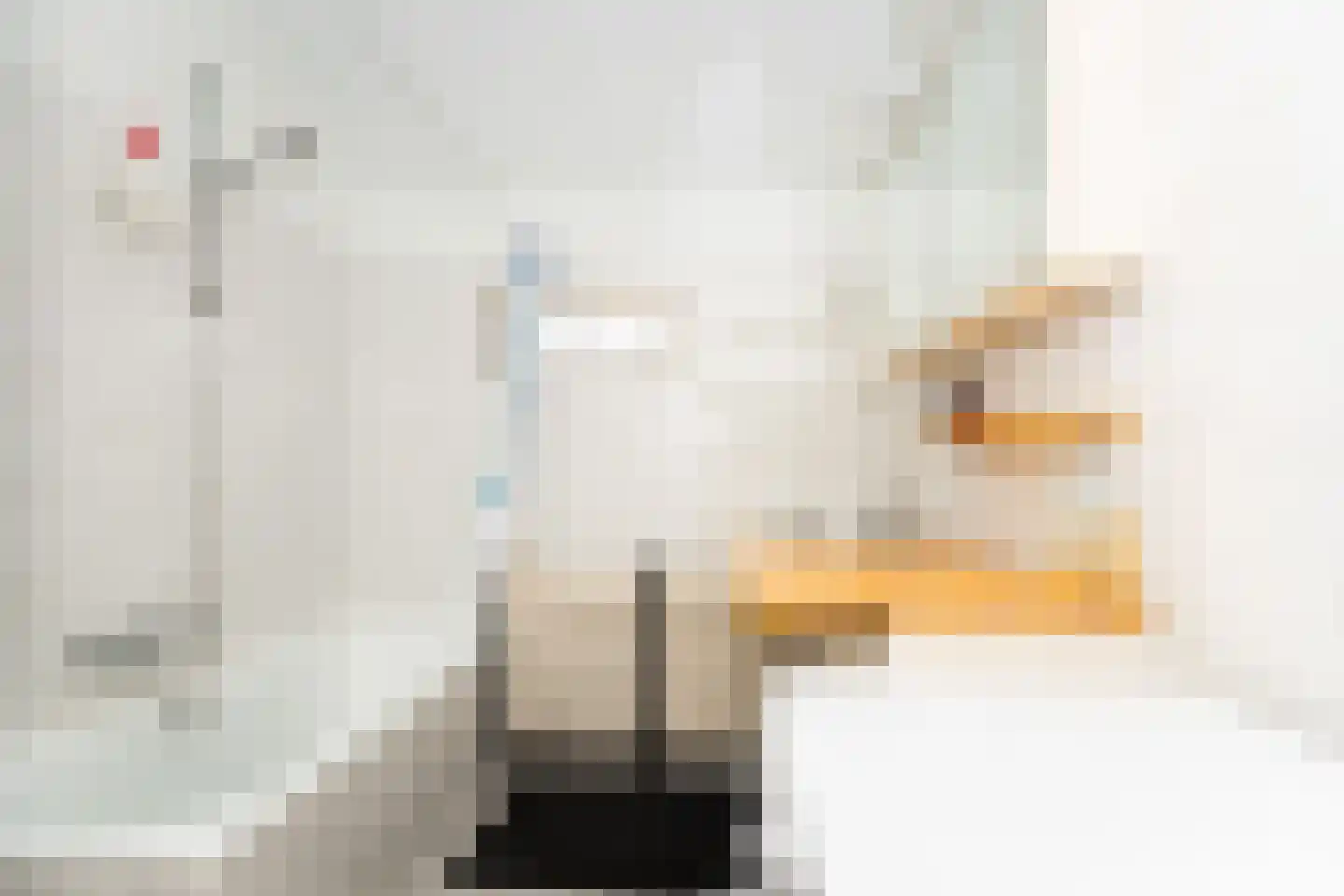 Poolster 129 Hoorn thumbnail 27