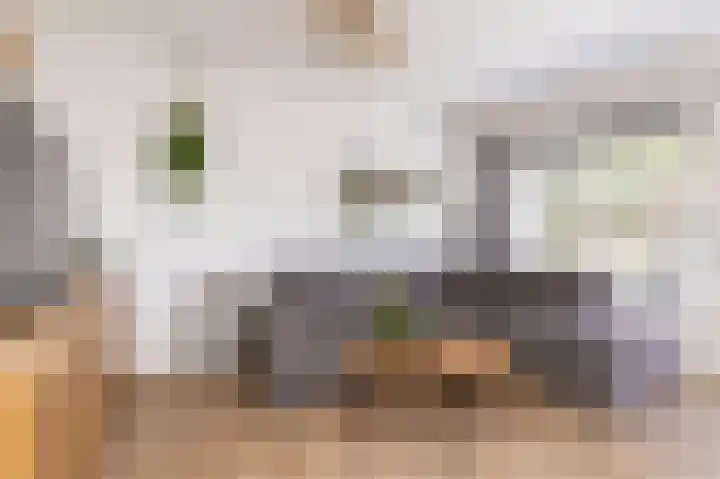 Poolster 24 Hoorn thumbnail 11