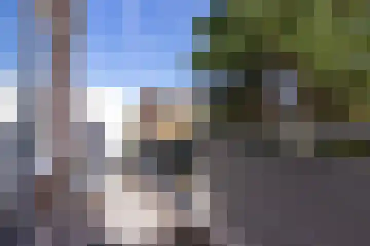 Poolster 24 Hoorn thumbnail 13