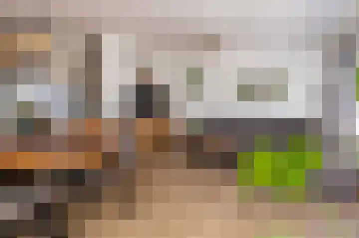 Poolster 24 Hoorn thumbnail 15