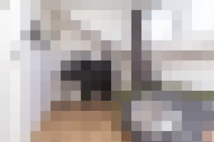 Poolster 24 Hoorn thumbnail 24