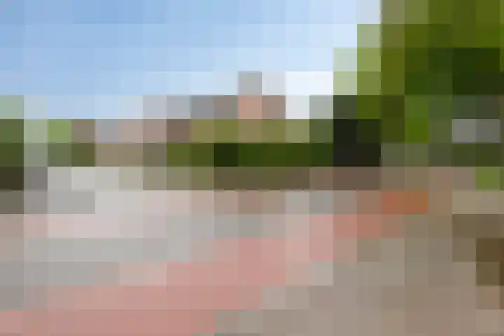 Poolster 24 Hoorn thumbnail 28