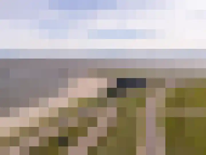 Poolster 24 Hoorn thumbnail 36