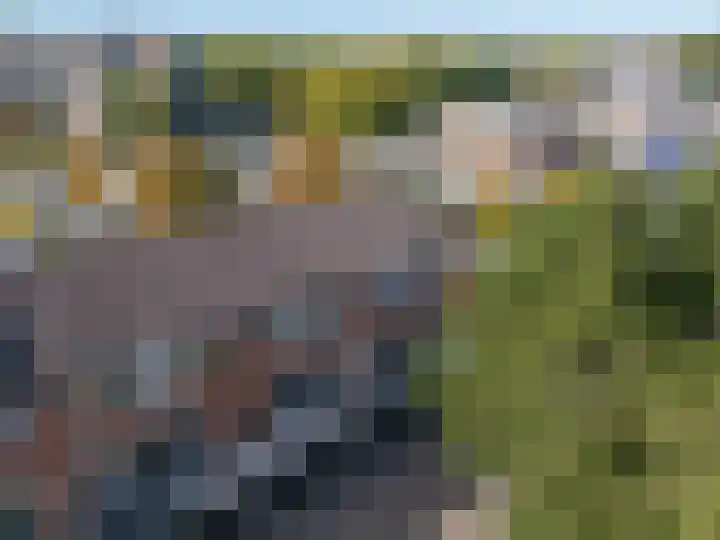 Poolster 24 Hoorn thumbnail 4